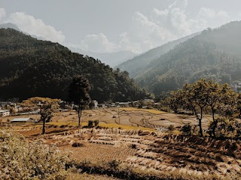 Photo of Trees and Farmland Across Mountains