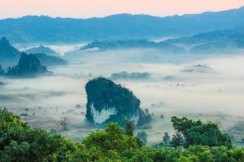 Photo of Trees and Mountains