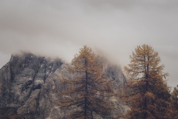 Photo of Trees and Rock Formation Under Foggy Weather