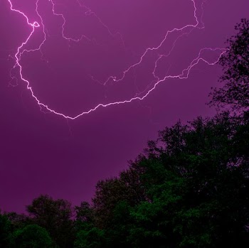 photo of trees during thunderstorms