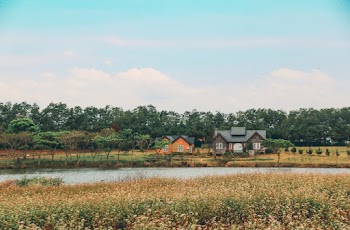 Photo of Two Houses Near Body of Water