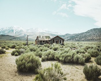 photo of two houses surrounded by green bushes
