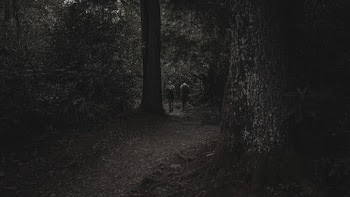 Photo of Two Person Standing Near Trees