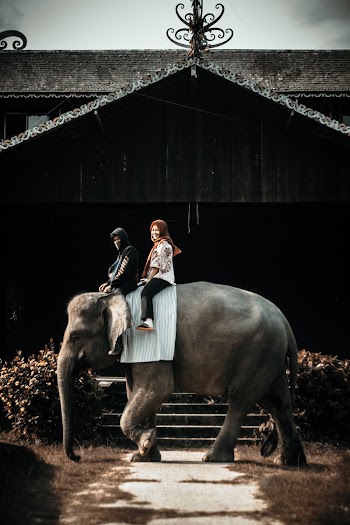 Photo Of Two Women Riding Elephant
