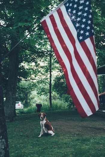 Photo of United States of America Flag