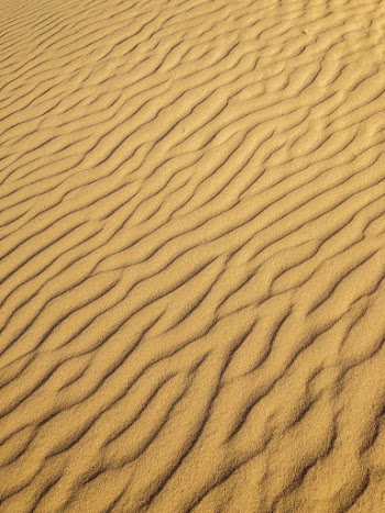 Photo of Vast Sand