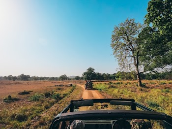 Photo of Vehicle on Dirt Road