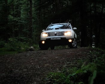 Photo of Vehicle on Dirt Road Surrounded by Tall Trees