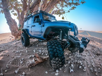 Photo of Vehicle Parked Beside Tree