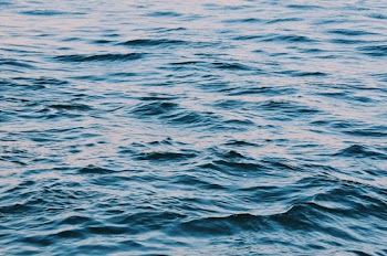 Photo of Water During Daytime