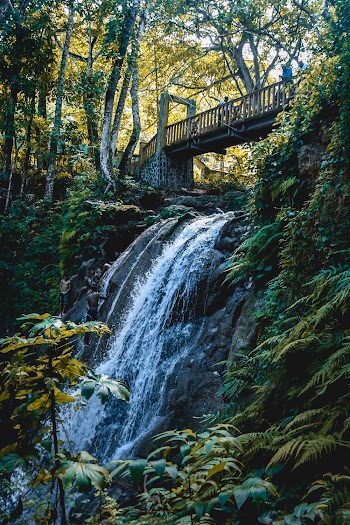Photo Of Water Fall During Daytime