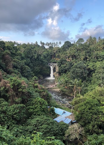 Photo of Waterfall Surrounded by Trees
