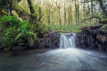 Photo of Waterfalls