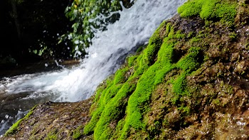Photo of Waterfalls