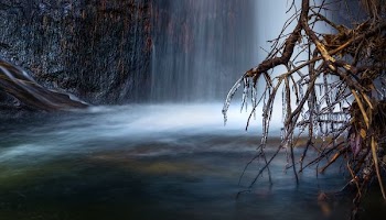 photo of waterfalls near roots