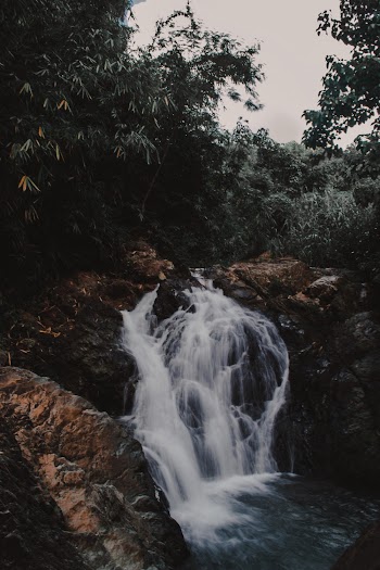 Photo of Waterfalls Surrounded by Trees
