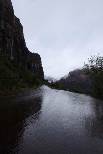 Photo of Wet Road