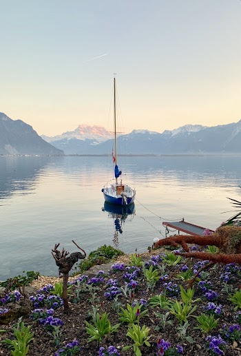 Photo of White and Blue Boat on Body of Water