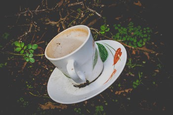 Photo of White and Green Ceramic Mug on Saucer