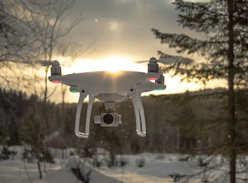 Photo of White Drone Quadcopter Flying Near Trees at Noontime