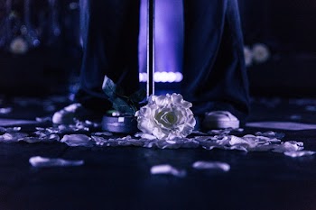 Photo of White Flower on Floor