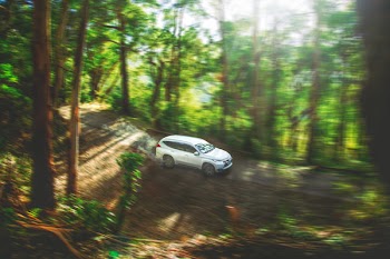 Photo of White Mitsubishi Montero Sport on Dirt Road
