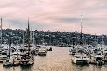 Photo of White Sailboats