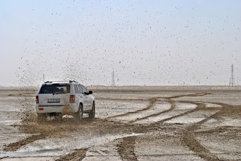Photo of White Suv on Muddy Plain