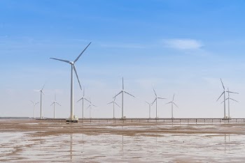 Photo of White Windmills 