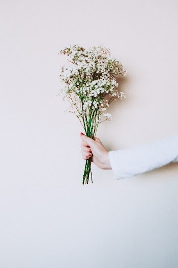 Photo of Woman's Hand Holding Out White Flowers In Front of White Background