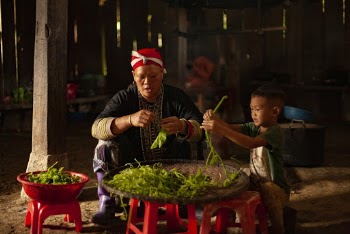 Photo of Woman and Boy Sitting and Cleaning Vegetables