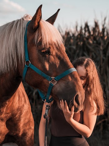 Photo Of Woman Beside Horse