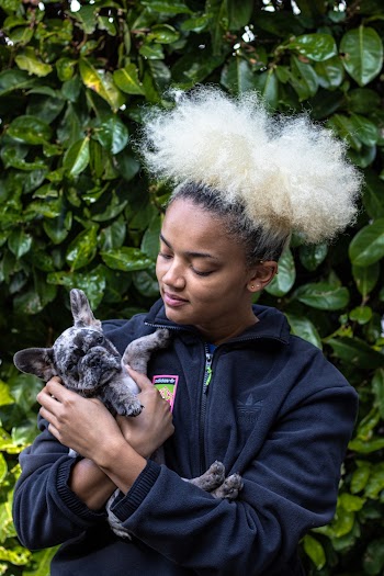 Photo Of Woman Carrying Dog