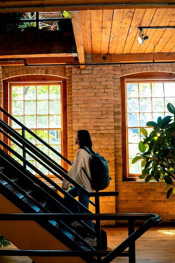 Photo of Woman Going Up