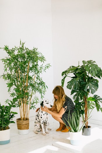 Photo Of Woman Holding Dalmatian 