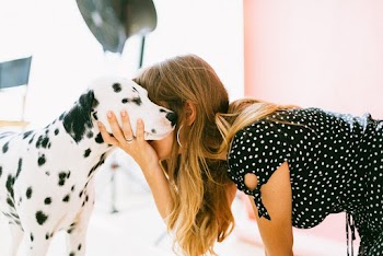 Photo Of Woman Holding Dalmatian 