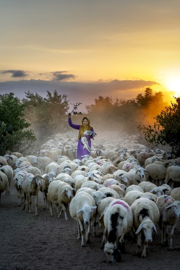 Photo Of Woman Holding Lamb