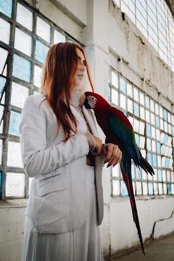 Photo of Woman Holding Parrot