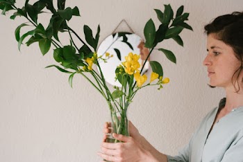 Photo Of Woman Holding Plant Pot