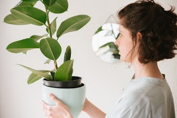 Photo Of Woman Holding Plant Pot