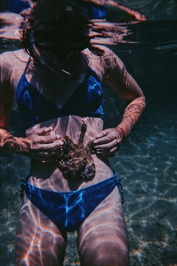 Photo of Woman Holding Sea Animal