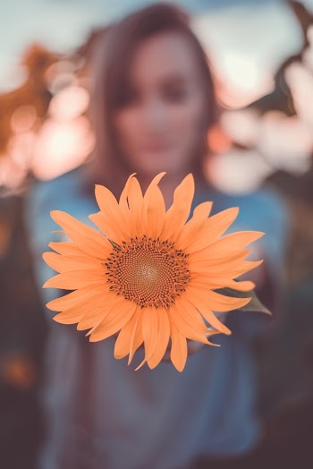Photo Of Woman Holding Sunflower