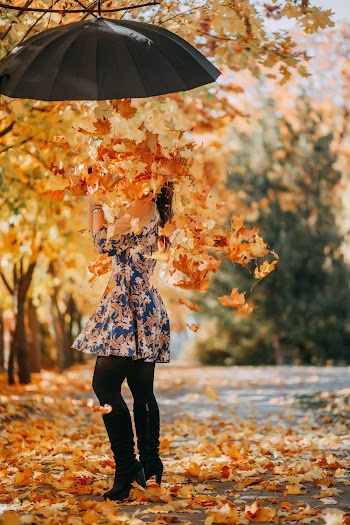 Photo of Woman Holding Umbrella