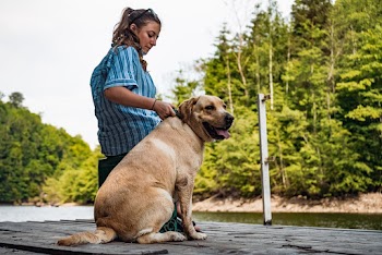 Photo of Woman in Blue Shirt Sitting Beside Her Dog on Pier 