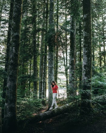 Photo of Woman in Red V-neck Top  Walking on a  Tree Log Between Trees