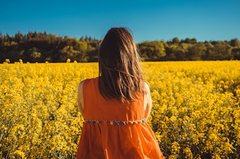 Photo of Woman Looking at a Flower Field.