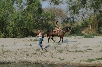 Photo of Woman Riding a Horse on Sand