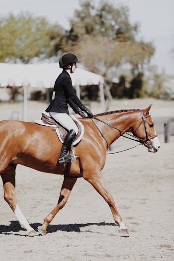 Photo of Woman Riding Horse
