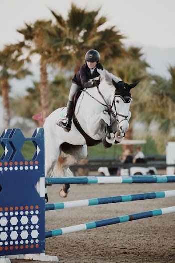 Photo of Woman Riding Horse