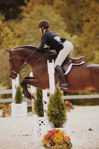 Photo of Woman Riding on Horse
